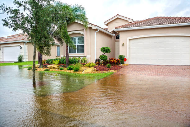 Louisiana Hurricane Water Damage Guide